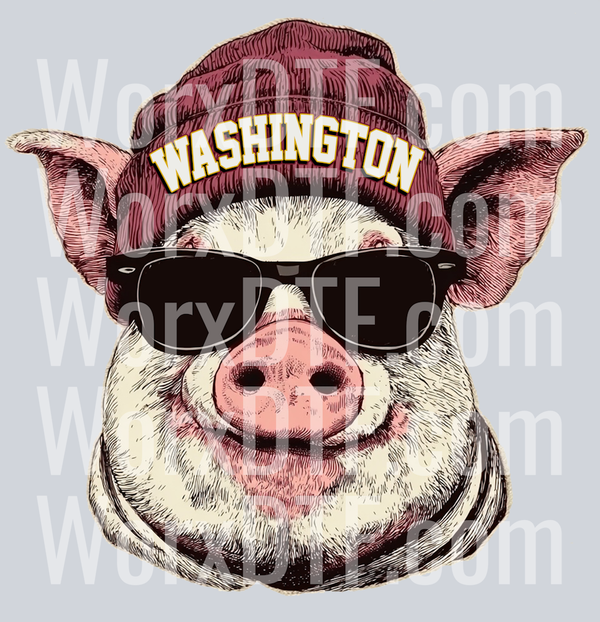 WASHINGTON